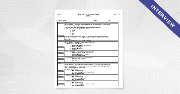 interview brief interview mental status bims